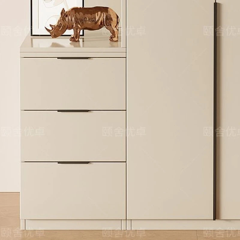 Hanging Storage Wardrobe Shelves Korean Style Armable Organization Wardrobe Hotel Clothing placard chambre furnitures